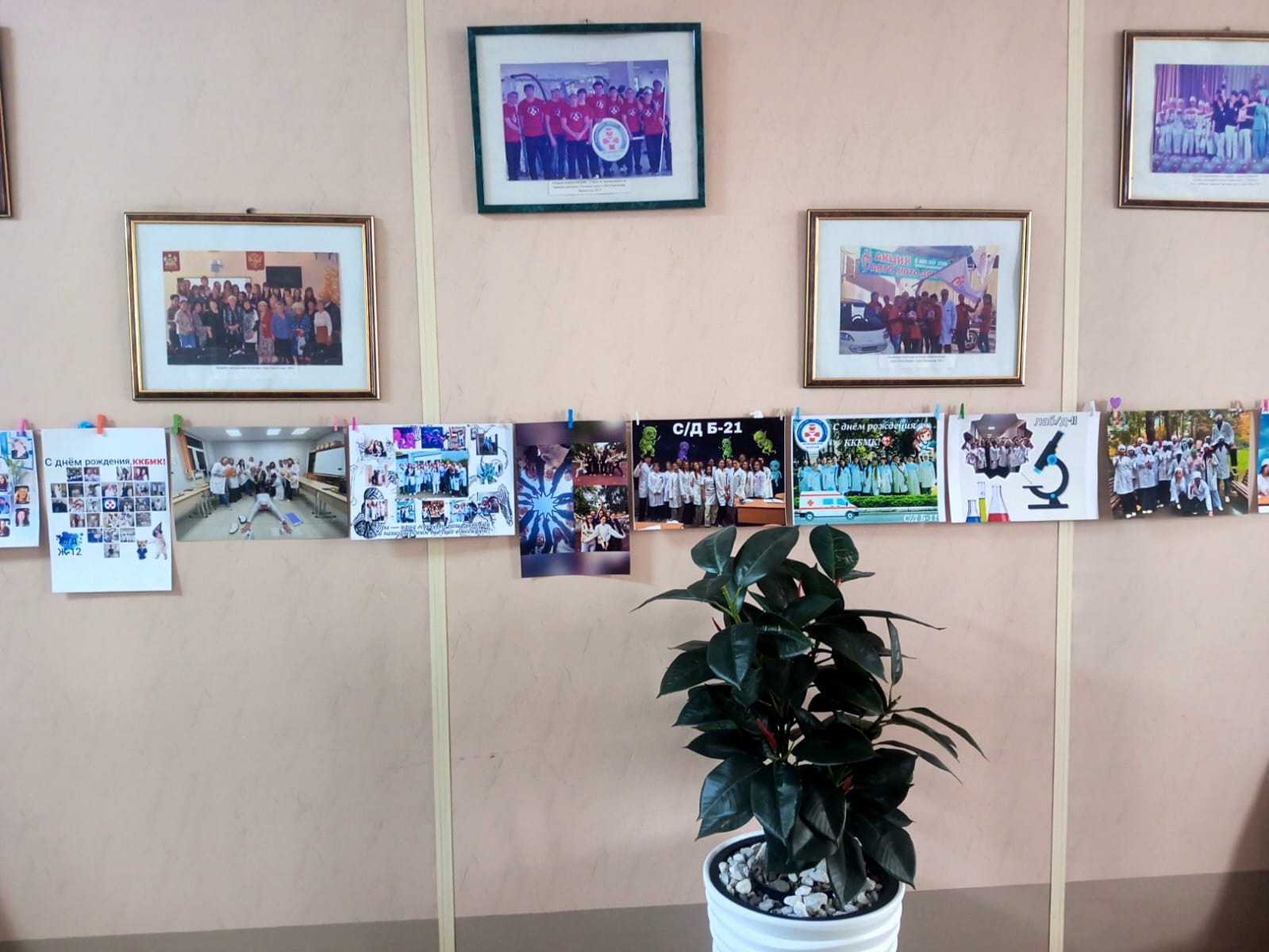 83ae8886-e277-4d47-80cd-77184dad0ed7